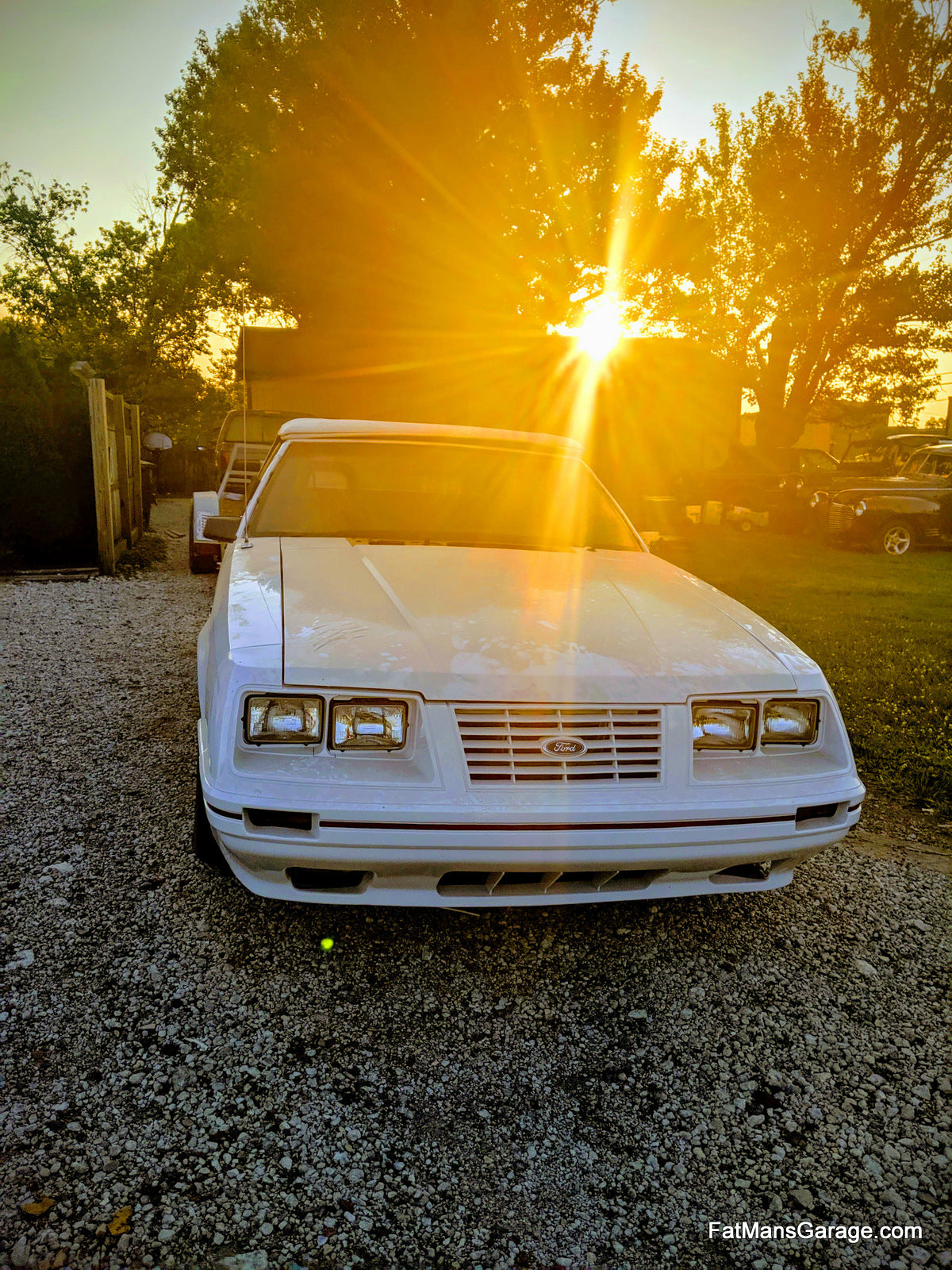 Barn Find GT350 Mustang