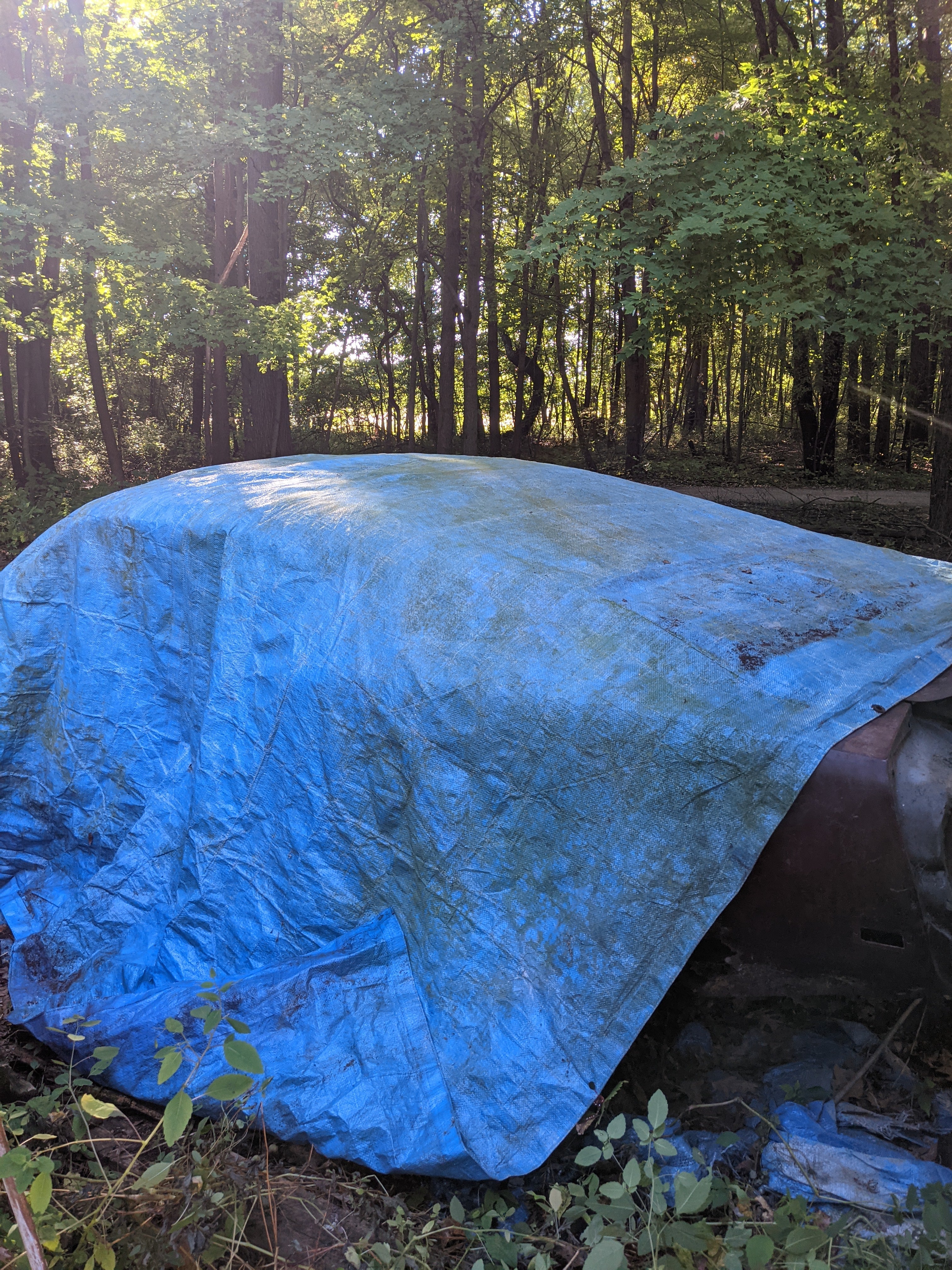 Scavenger Hunt for 1969 Mustang Fastback.