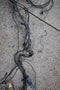 1958 58 CADILLAC LIMO SERIES 75 front wiring harness Under Hood Engine Bay 10698