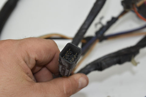 Image #7