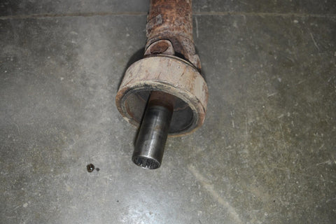 Image #6