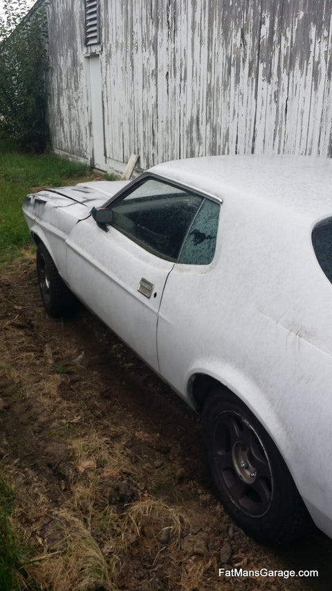 1973 Mustang Grande Hardtop