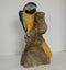 ANIMAL CLASSICS UNITED DESIGN HAND PAINTED BLUE GOLD PARROT MACAW CC-197 ART