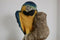 ANIMAL CLASSICS UNITED DESIGN HAND PAINTED BLUE GOLD PARROT MACAW CC-197 ART
