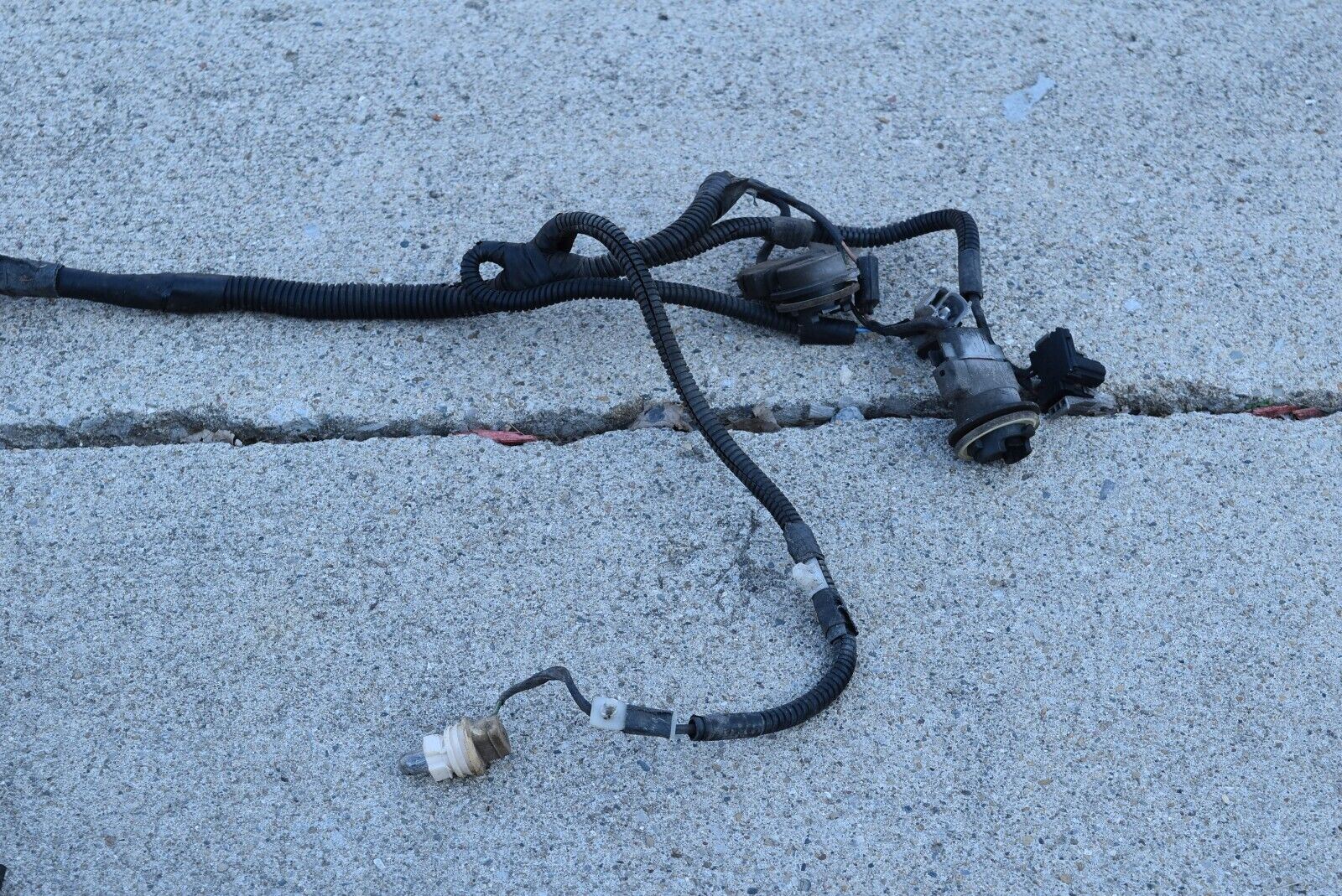 Jeep Cherokee XJ 2000 4.0 Under Hood Wiring Harness Loom Auto wire 956