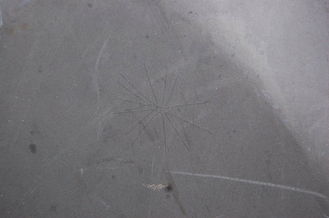 1963-1967 Corvette Big Block Hood TEAR DROP NOSTALGIC SHAPE FIBERGLASS 64 65 66