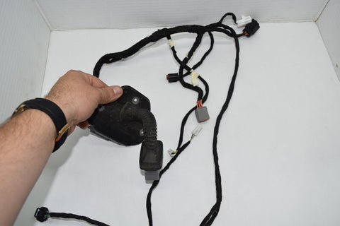 2016 2017 2018 DODGE CHARGER REAR LEFT driver DOOR WIRE WIRING HARNESS 10849