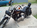 1988 Harley Davidson Softail Custom