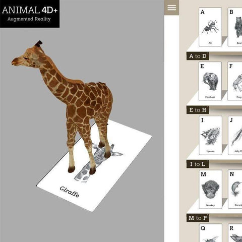 Animal 4D+ Augmented Reality Alphabet Flashcards for Kids Toys