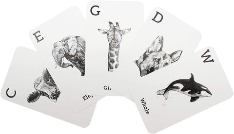 Animal 4D+ Augmented Reality Alphabet Flashcards for Kids Toys