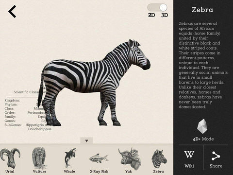 Animal 4D+ Augmented Reality Alphabet Flashcards for Kids Toys