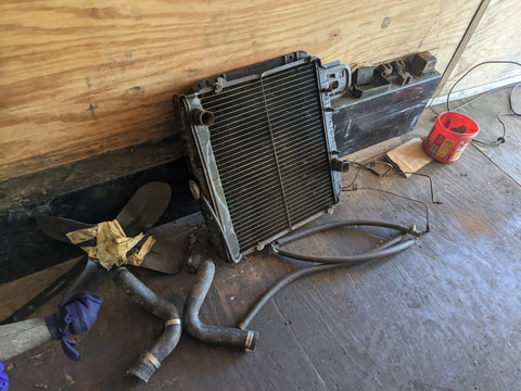 1969 Ford Mustang Fastback SOLD!!!