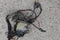 1983 Ford Mustang LX Convertible Under Dash Wiring Harness Automatic Power Top