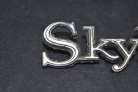 1968 1969 Buick Skylark Trunk Trim Emblem Badge Deck Lid Moulding Name 68 69