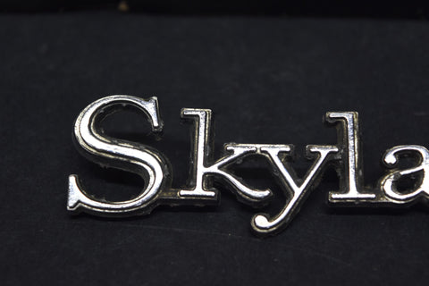 1968 1969 Buick Skylark Trunk Trim Emblem Badge Deck Lid Moulding Name 68 69