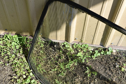 Original 1963 Pontiac Catalina Rear Windshield Glass Back Window