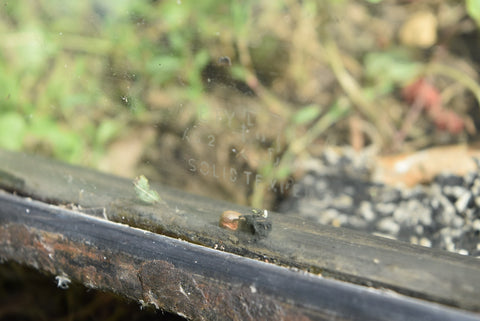 Original 1963 Pontiac Catalina Rear Windshield Glass Back Window