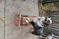 Vintage Western Clipper Snow Sled Metal Wood With Steering Wall Decor Winter