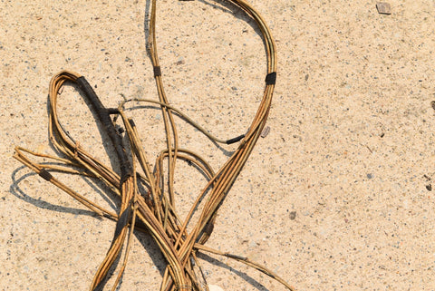 1948 Dodge D24 Custom Deluxe Rear Wiring Harness Taillights Tail Lights 48 OEM