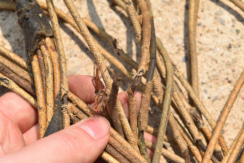 1948 Dodge D24 Custom Deluxe Rear Wiring Harness Taillights Tail Lights 48 OEM