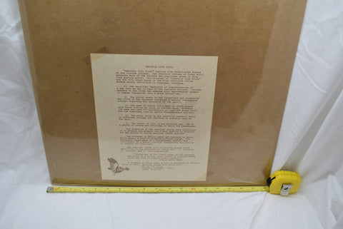 Enoch Kelly Haney- Seminole lifestyle Native American house decor 24x18 518/200