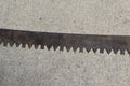 Vintage 66" Two 2 Man Saw Champion Tooth Pattern Cabin Decor Rustic Holiday