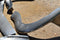 1956 Chevy Front Bumper Accessory Guard Bumperette Topper Nomad Bel Air 56