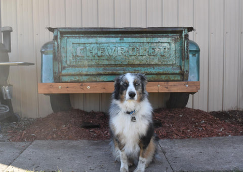 Custom Handmade 1950s Chevy Truck Bed Outdoor Table Workbench Garage Mancave