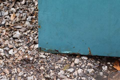 1965 1966 1967 Pontiac Tempest LeMans GTO Hood Bonnet with Emblem 65 66 67 OEM