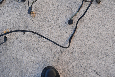 1972 1973 Ford Gran Torino Front Lights Headlight Turn Signal Wiring Harness 72