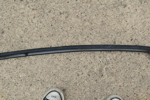 1970-1981 Firebird Roof Rail Weatherstrip Holder Channel Drip Door Seal LH