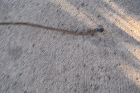 1979 1993 FORD MUSTANG LATCH MECHANISM ASSEMBLY HANDLE PASSENGER RIGHT 83 84 85