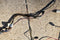 1997 2001 Jeep Cherokee Overhead Lights Courtesy Front Rear Wiring Harness 97 01