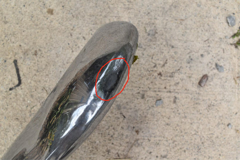 1963 1964 Buick Riviera Front Upper Bumper Top 63 64