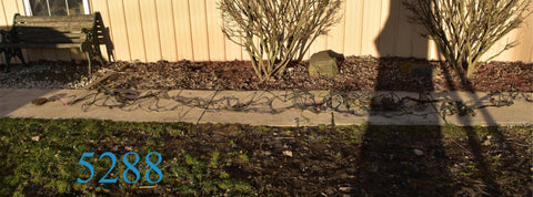 Near Complete 1973 Gran Torino Sport Wiring Harness Tail Light Under Dash Hood