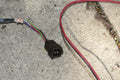 1972 1973 Ford Gran Torino Rear Wiring Harness Wires