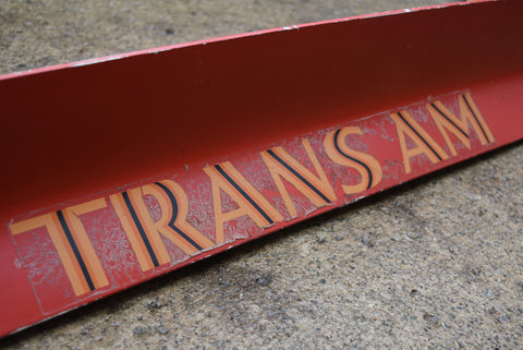 1970 1981 Pontiac Firebird Camaro Trans Am Center Spoiler Section Lid 70 71 72