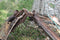 1958 Oldsmobile Super 88 Front Seat Core Frame Rusty 58 Olds GM