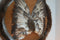 Handmade Bird Feather Dream Catcher Fur Wrapped Beads Leather Cherokee decor