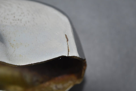 1948 Dodge D24 Custom Deluxe Rear Bumper Guard Left Driver Bumperette MOPAR 48