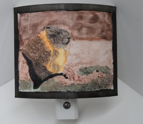 3D Printed Lithophane Night Lighting Hand Painted LED Decor Photography