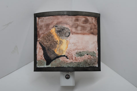 3D Printed Lithophane Night Lighting Hand Painted LED Decor Photography