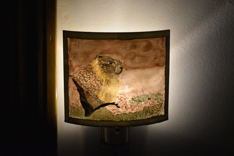 3D Printed Lithophane Night Lighting Hand Painted LED Decor Photography