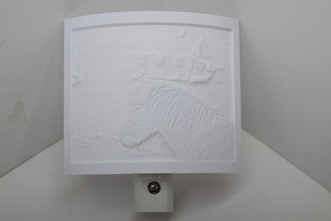3D Printed Lithophane Night Lighting Dusk To Dawn LED Light Photography Decor