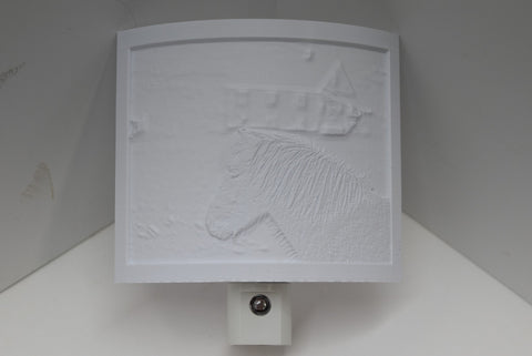3D Printed Lithophane Night Lighting Dusk To Dawn LED Light Photography Decor