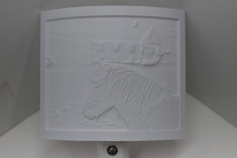 3D Printed Lithophane Night lighting Hand Painted LED Decor Light Photography