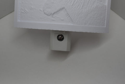 3D Printed Lithophane Night Lighting Dusk To Dawn LED Light Photography Decor