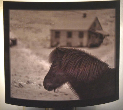 3D Printed Lithophane Night lighting Hand Painted LED Decor Light Photography