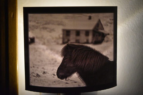 3D Printed Lithophane Night Lighting Dusk To Dawn LED Light Photography Decor