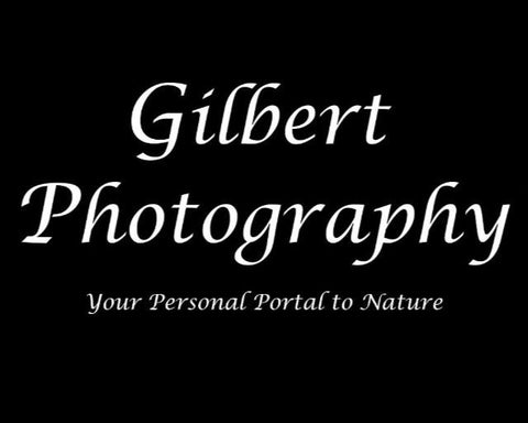 3D Printed Lithophane Night lighting Hand Painted LED Decor Photography